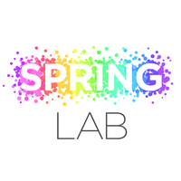 Logo de l'entreprise SPRING LAB SAS