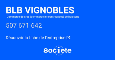 Logo de l'entreprise BLB VIGNOBLES