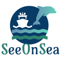 Logo de l'entreprise SEEONSEA